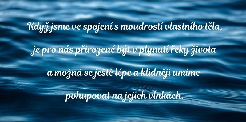 Voda je nositelkou informace, nositelkou života. Probouzení živé vody v nás je i probouzením života. Návrat k naší přirozenosti ~ a tou je zdraví.(1)